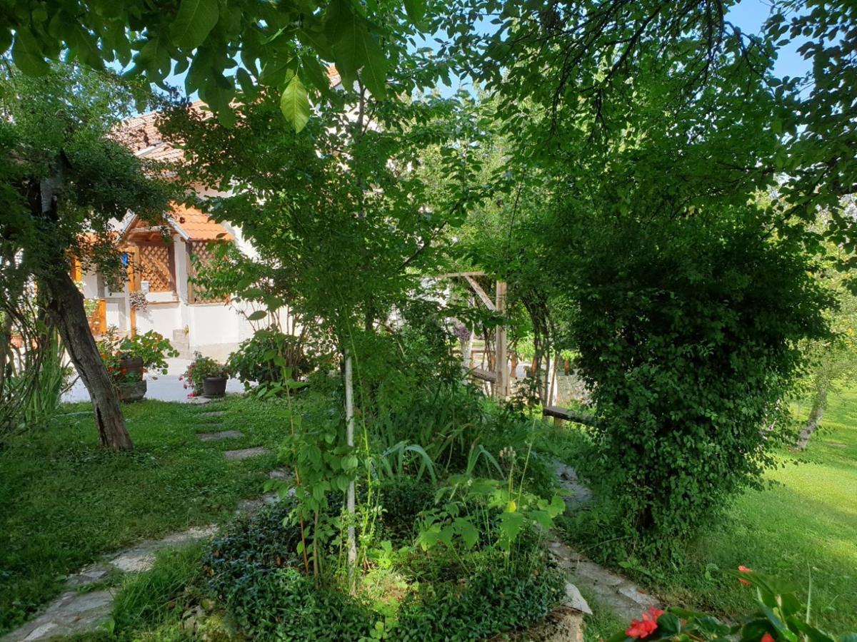 Apartment Liso Seliste Dreznicko Exterior foto