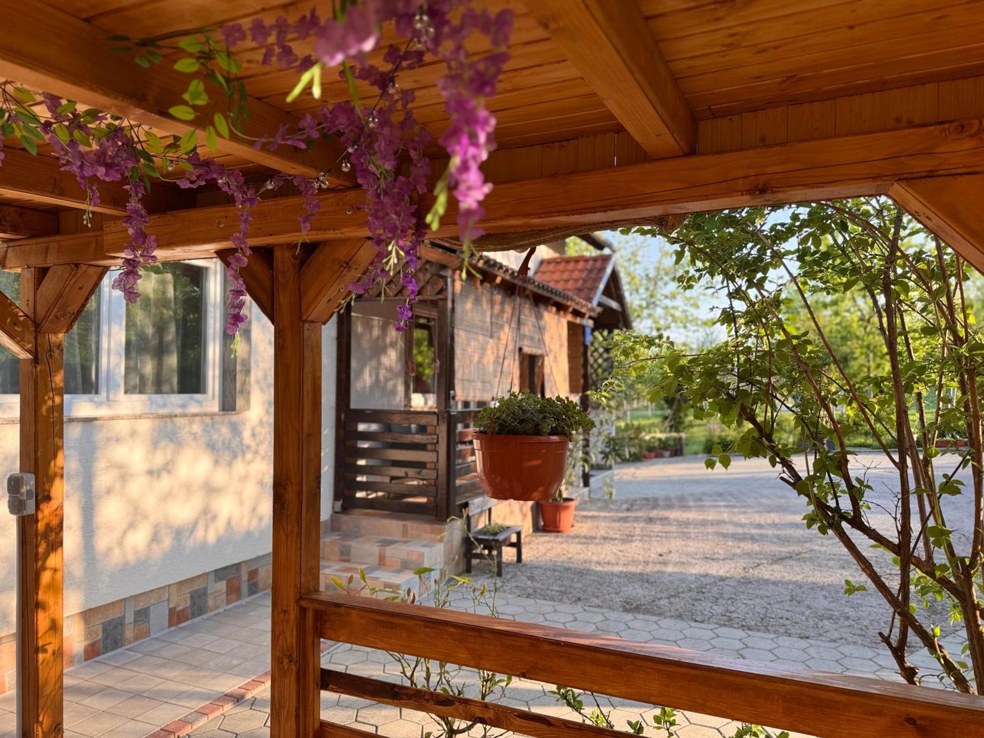 Apartment Liso Seliste Dreznicko Exterior foto
