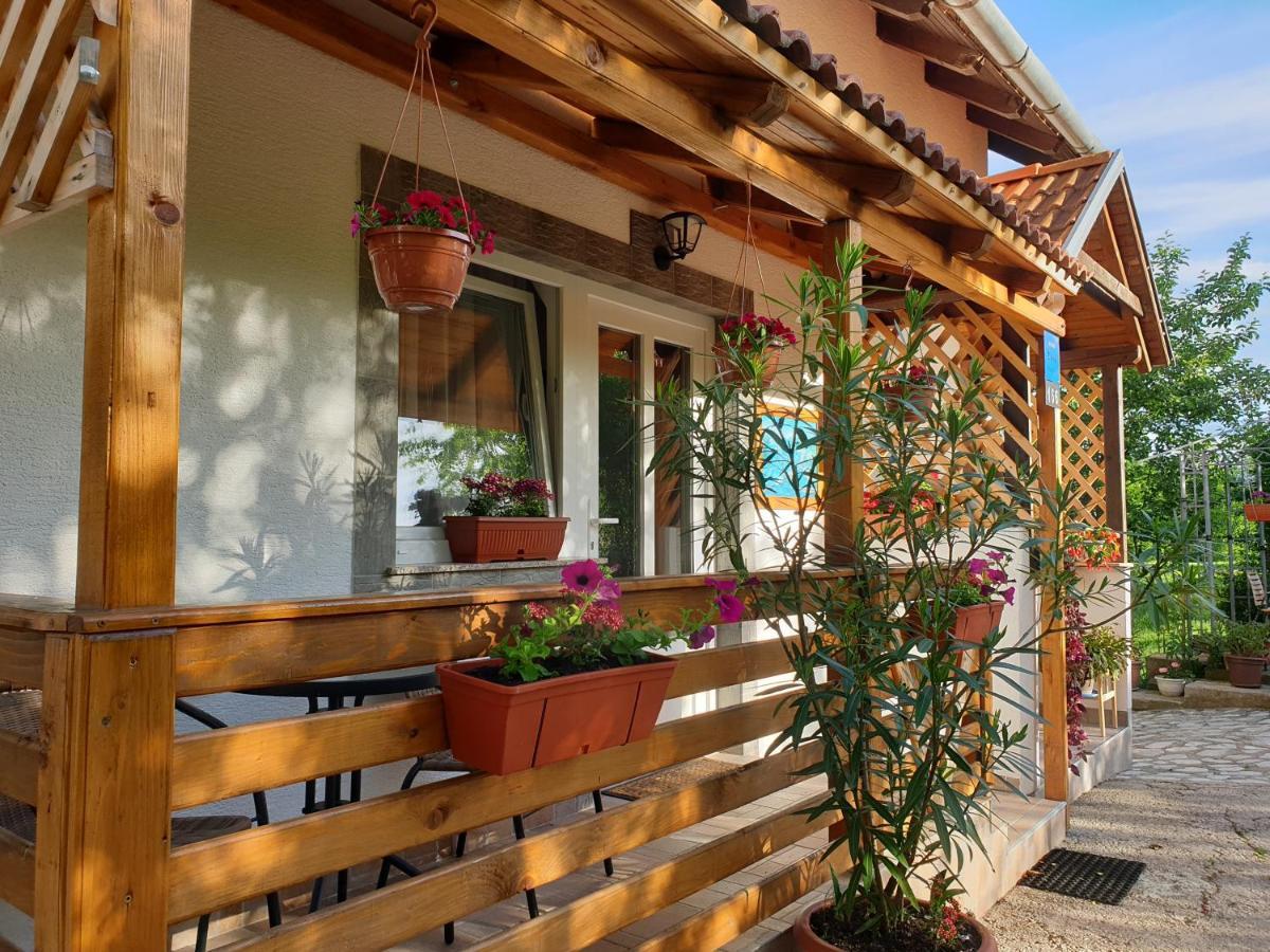 Apartment Liso Seliste Dreznicko Exterior foto